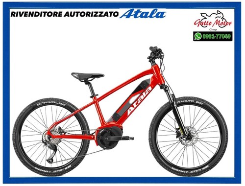 Bici bicicletta elettrica - bici,